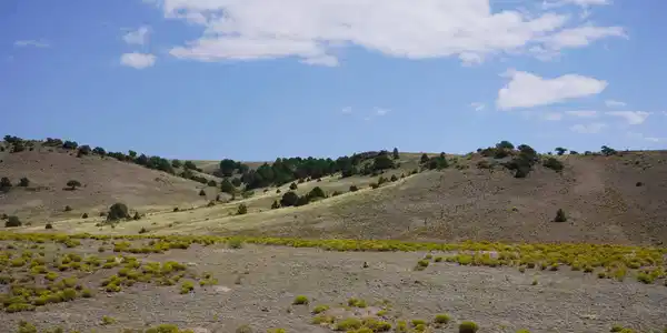 496 E Pfieffer Loop