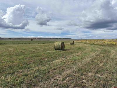 TBD County Road 12.5