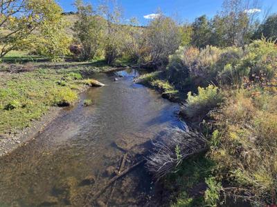 TBD Lot 20, Blk 6 La Jara Creek Acres