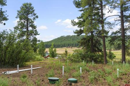 2828 County Road 502