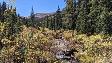 TBD Forest Service Road 752.3B