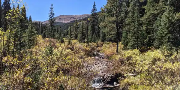 TBD Forest Service Road 752.3B