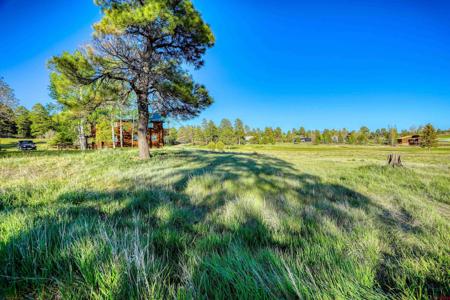 28 Divot Place