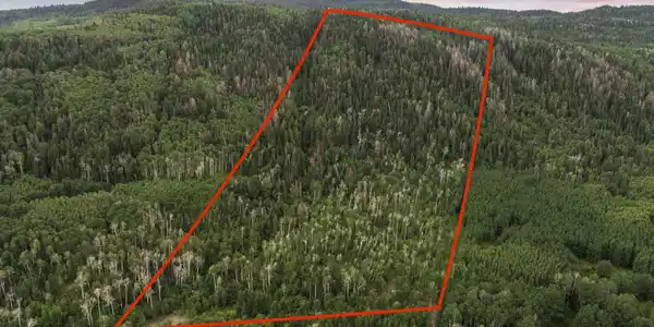 Lot 9 Wapiti Trail