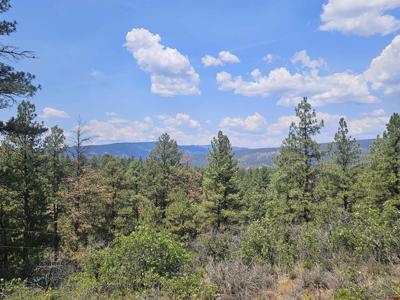 390 Evergreen
