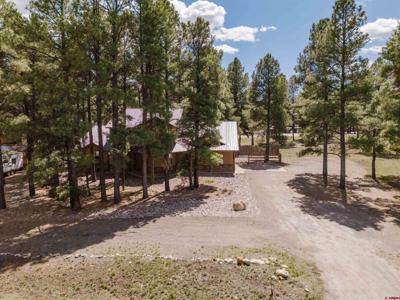 486 N Pagosa Boulevard