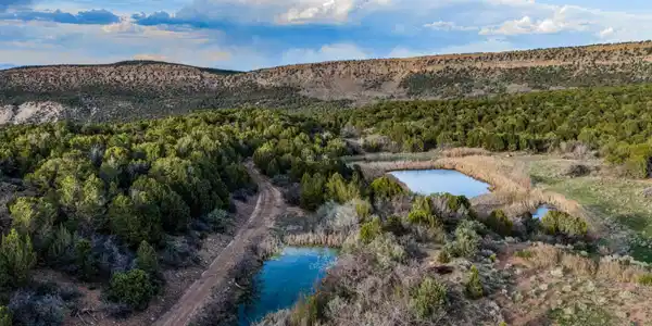 TBD Old Highway 90