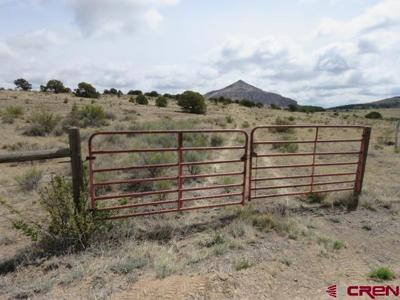 274 Antelope Trail