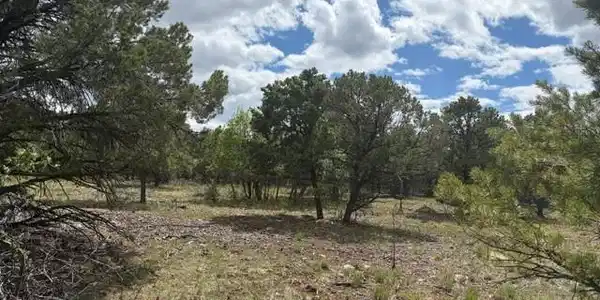 Lot 4 Tower Road North