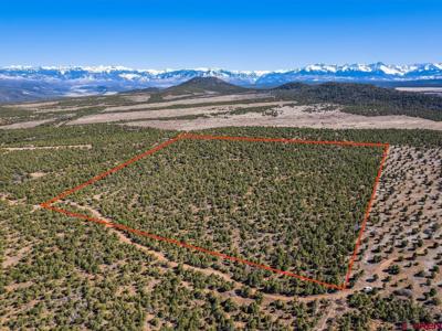 TBD Pinion Ridge Road