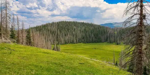 TBD Stunner Pass