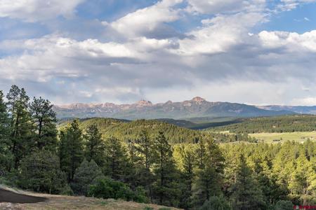 41 Boulder View Ct., 313 Alder Pl. & 337 W Blue Lake