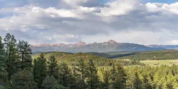 41 Boulder View Ct., 313 Alder Pl. & 337 W Blue Lake