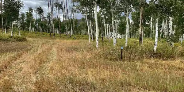 Lot 64 Groundhog Vista