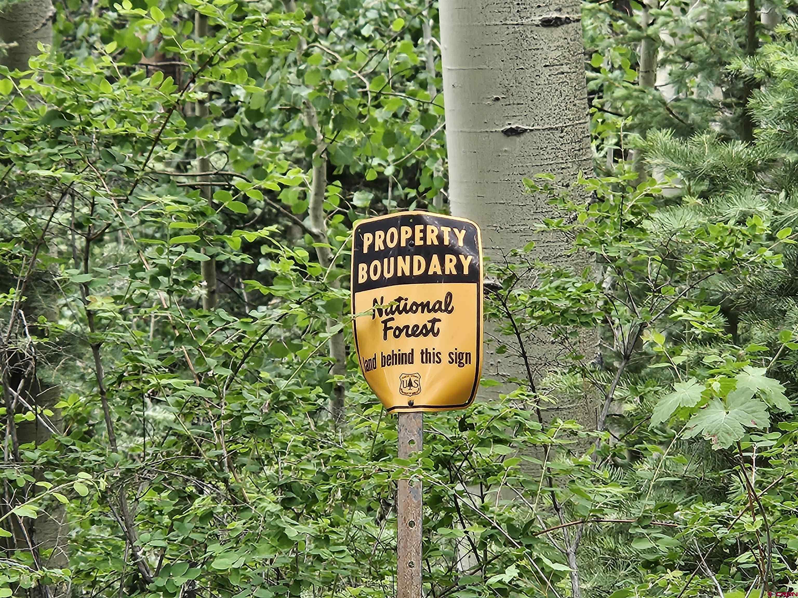 Image 2: Borders National Forest