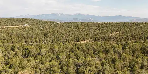 TBD CR 310