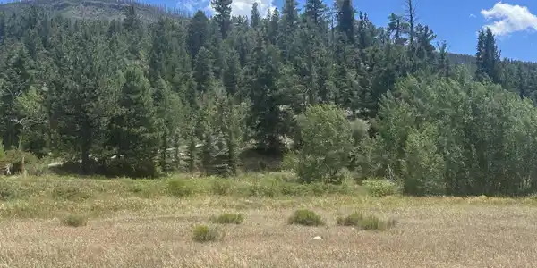 26 Mill Creek Lane