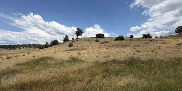 893 Loma Linda Drive