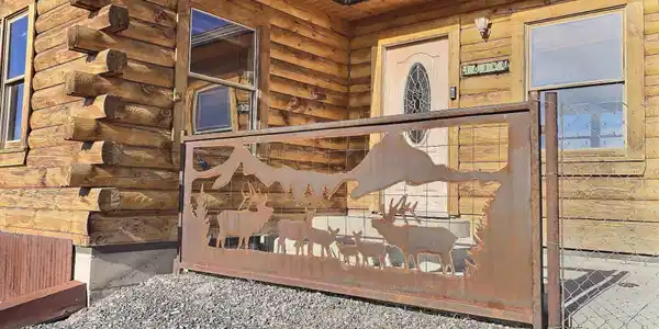 Image 4