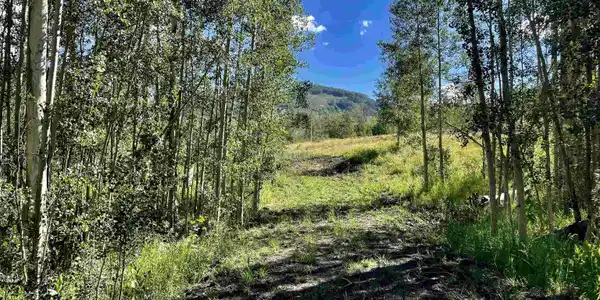 Lot 13 Groundhog Vista