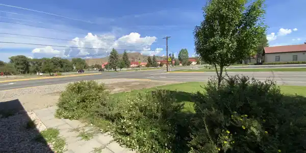 Image 3: Front Yard
