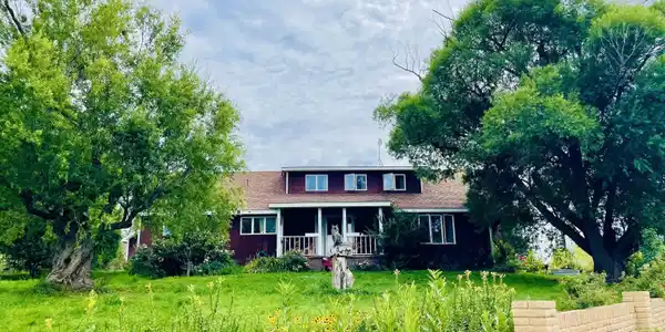 14156 Hwy 145