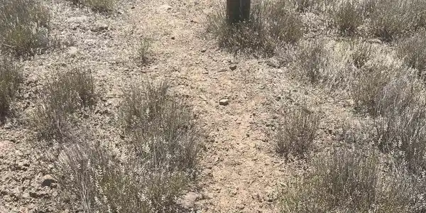 TBD Uintah Road
