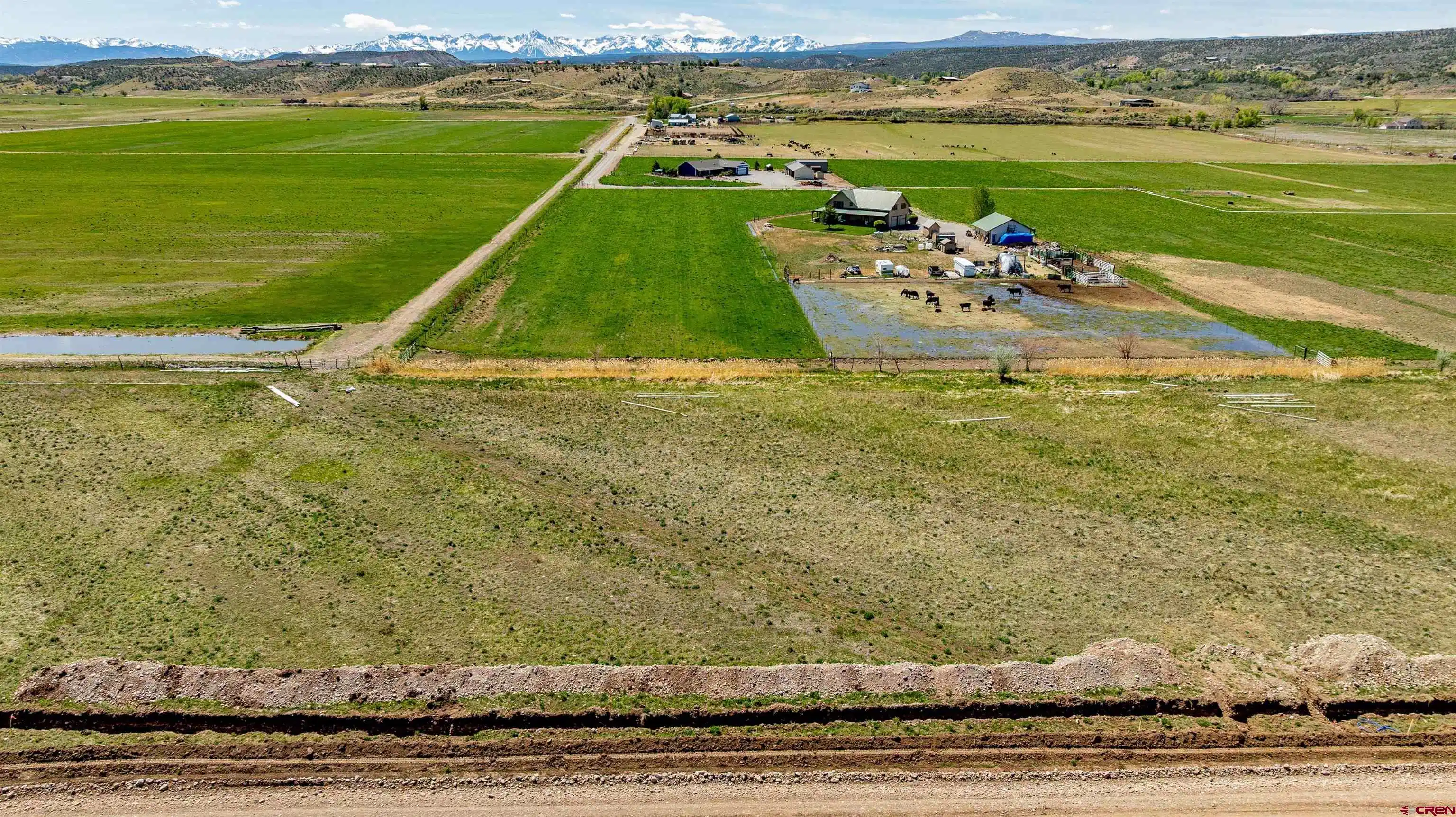 Image 1: Lot 29