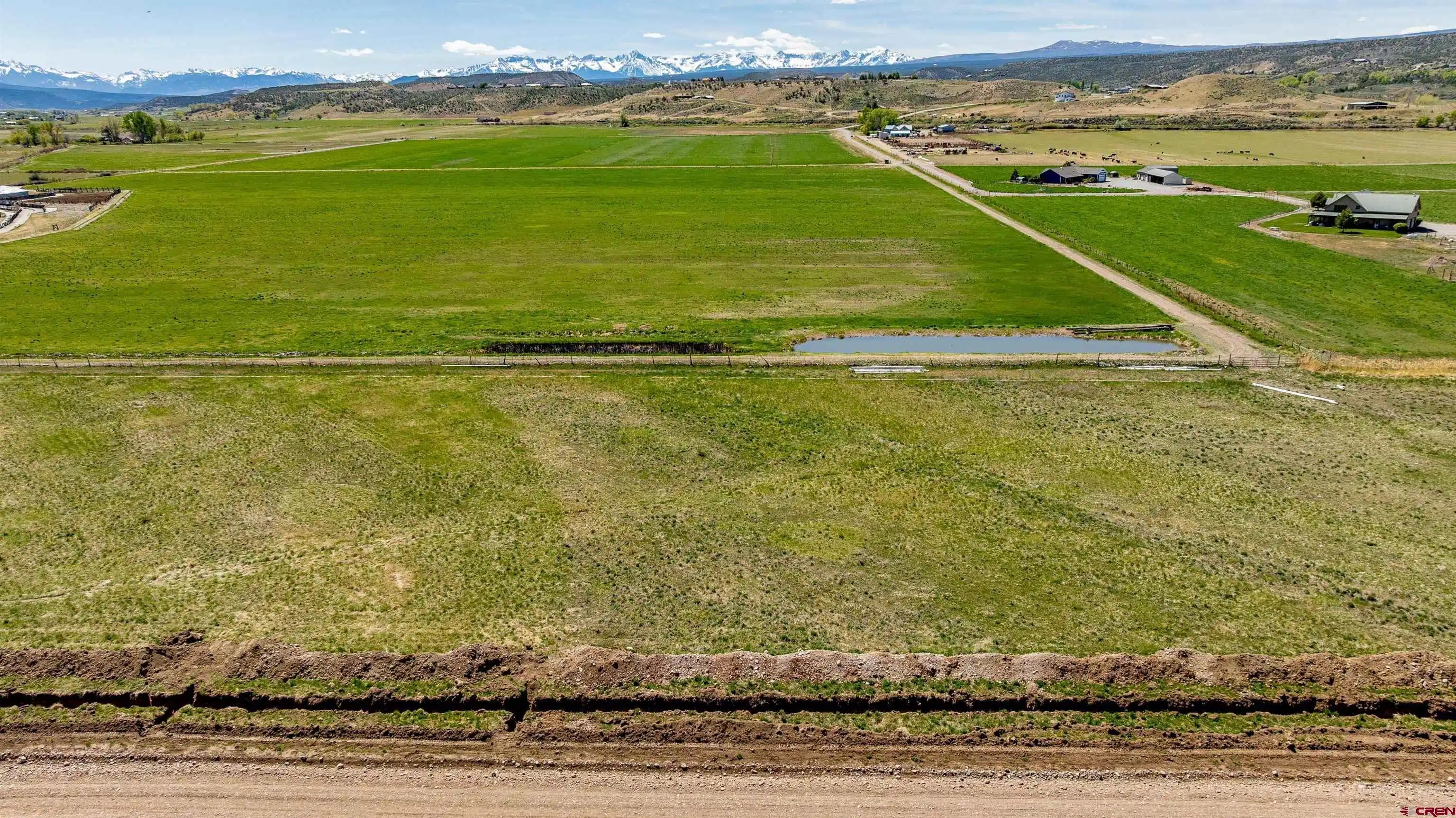 Image 1: Lot 31