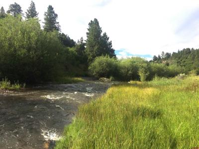 2A W. Beaver Pines Loop