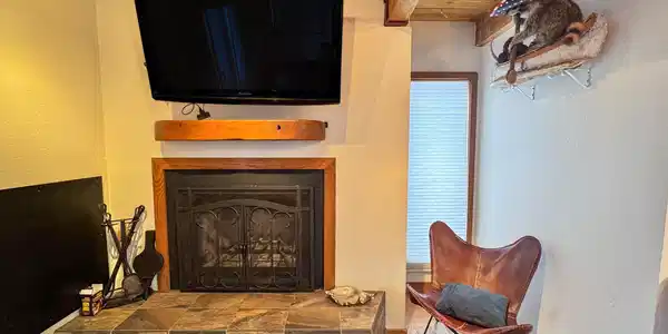 Image 4: Fireplace