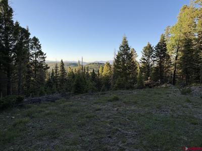224 Crest Drive