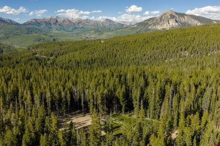5350 Wildcat Trail