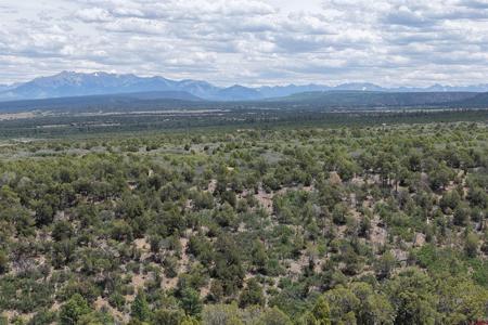 Unassigned Juniper Drive (42.2Y Road)
