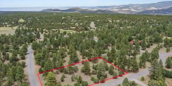 TBD Lot 308 Bear Cub Drive