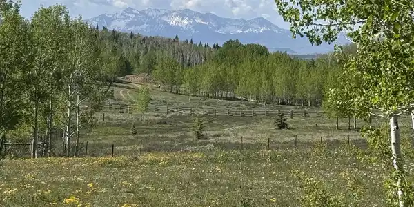 Tbd Divide/ Davewood  Road