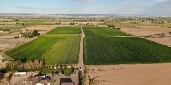 TBD 5725 RD