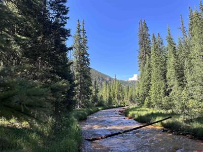 Lot 11 Overland Estates, CR 110