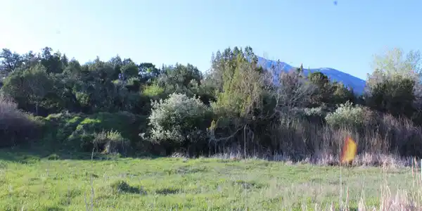 Lot 9 Gunnison Mountain Lane
