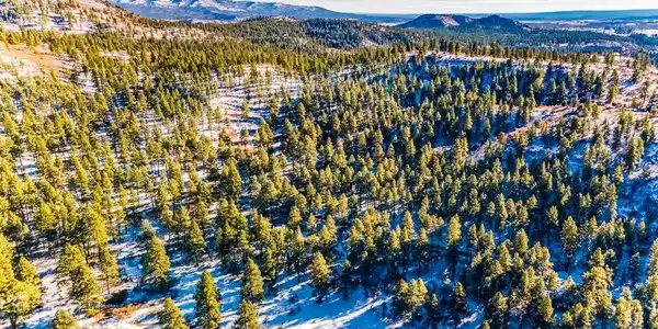 TBD Lot 13 Beaver Creek Ranch Drive