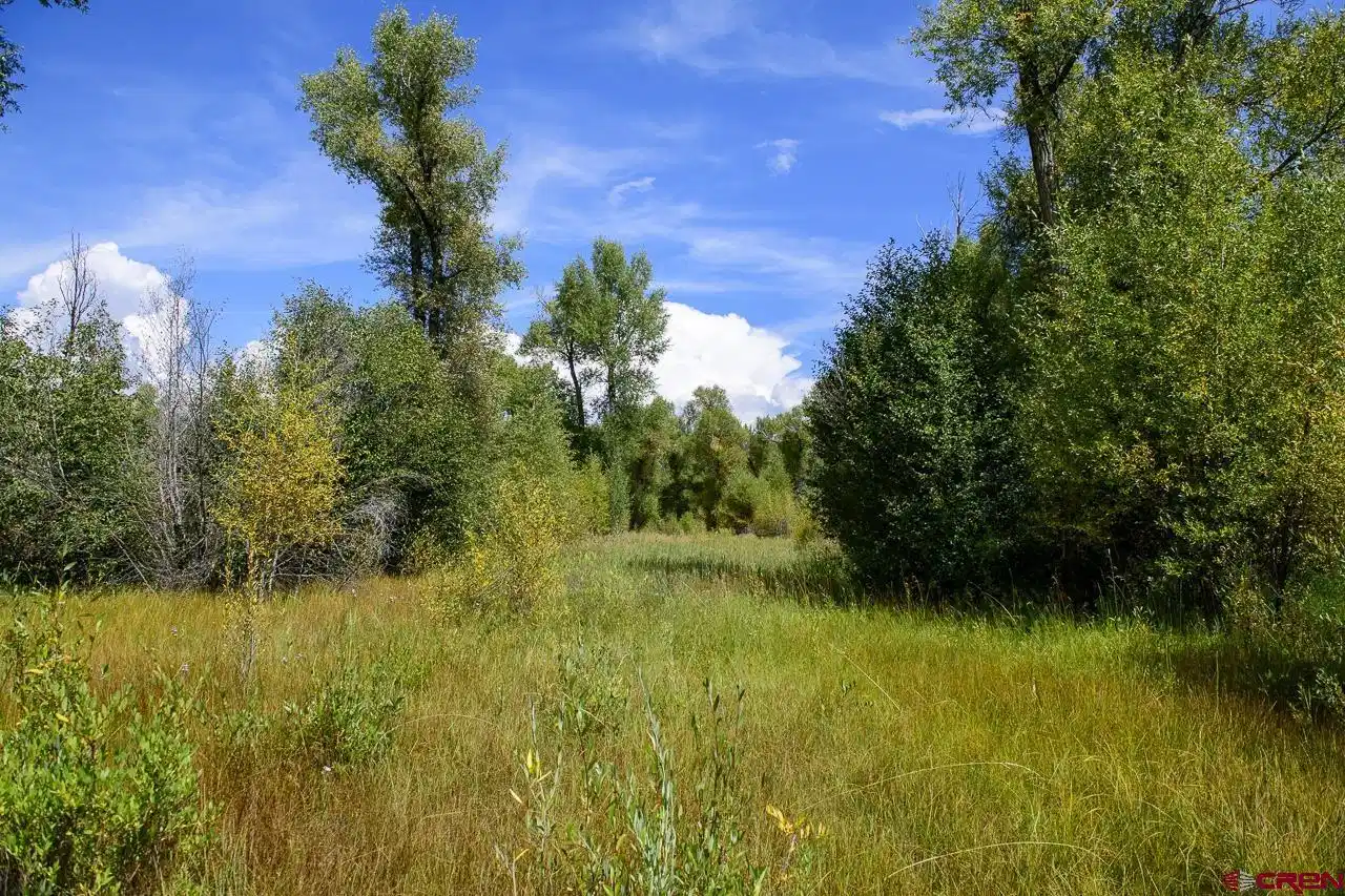 Image 1: View