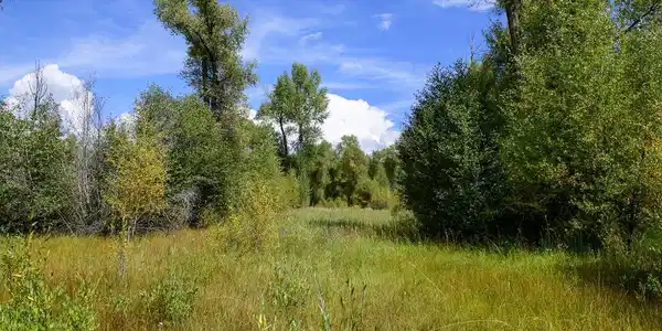 451 Kokanee Court