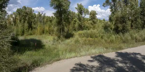 Image 2: View