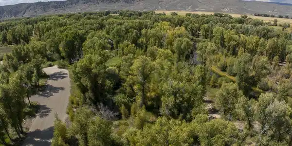Image 4: Aerial