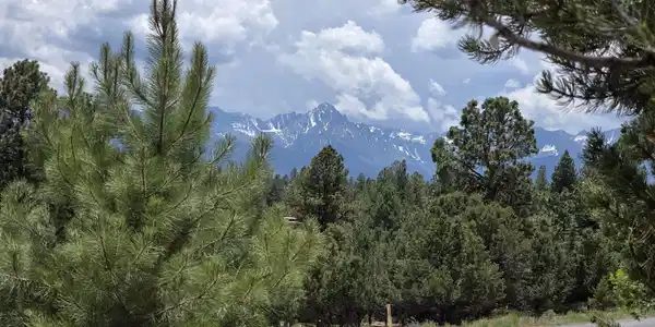 118 Pika Lane
