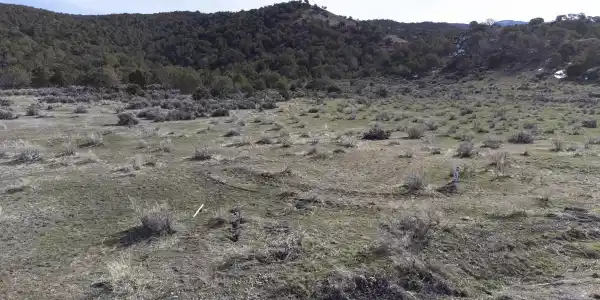 TBD Lot 23 7250 Road
