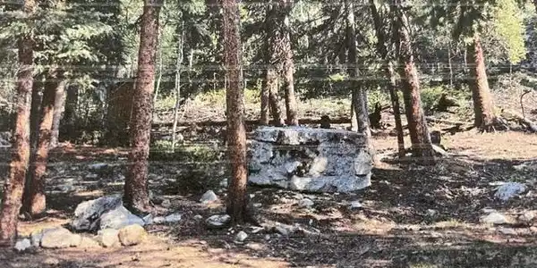 TBD USFS RD 766 Road
