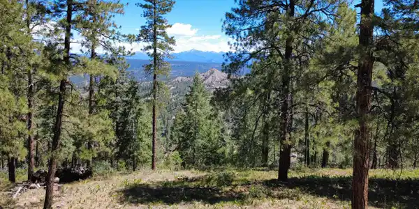 1203 Gun Barrel Road