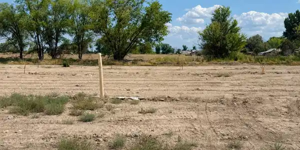 Lot 7 TBD Cunningham Street
