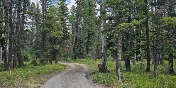764 Deer Trail